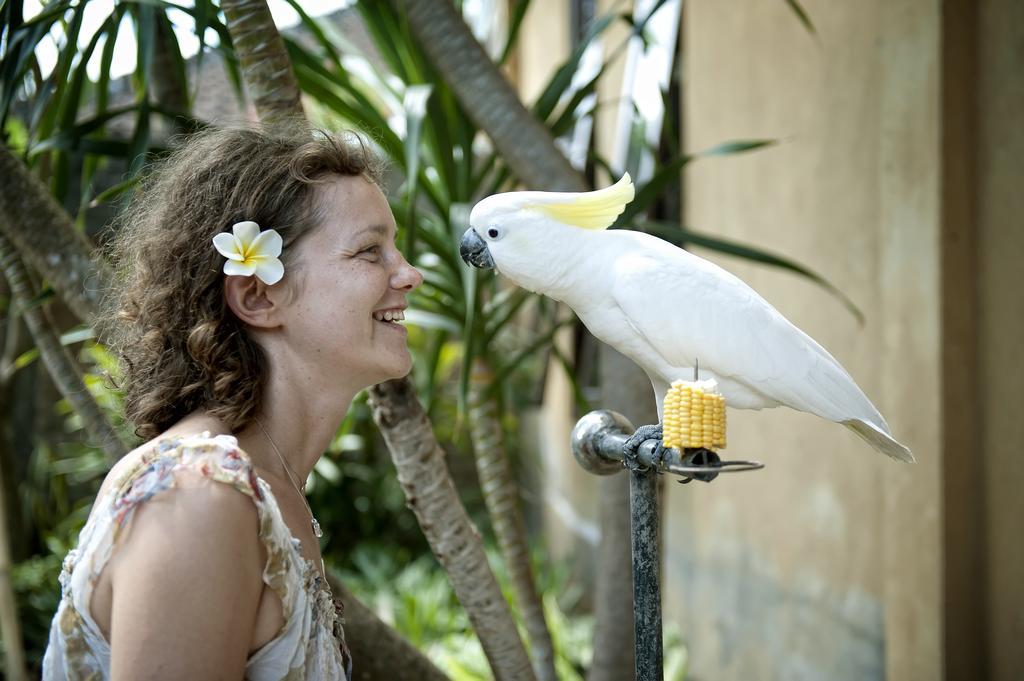 Teja Home Stay Ubud Dış mekan fotoğraf
